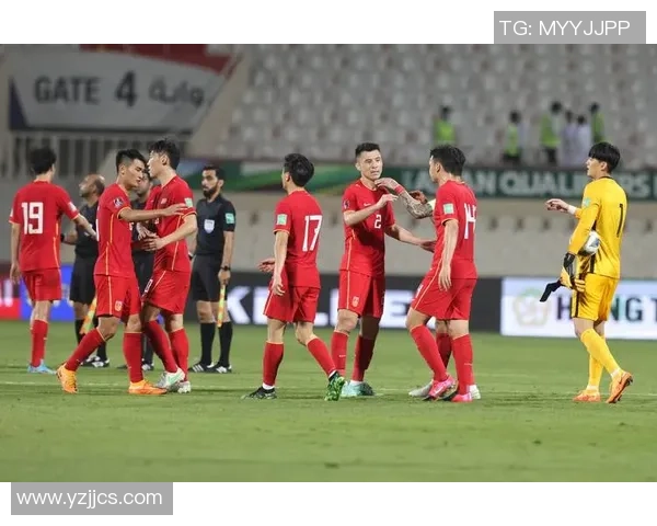 南京足球队在世界杯预选赛中的战术分析与表现评估 南京足球队在世界杯预选赛中的战术分析与表现评估