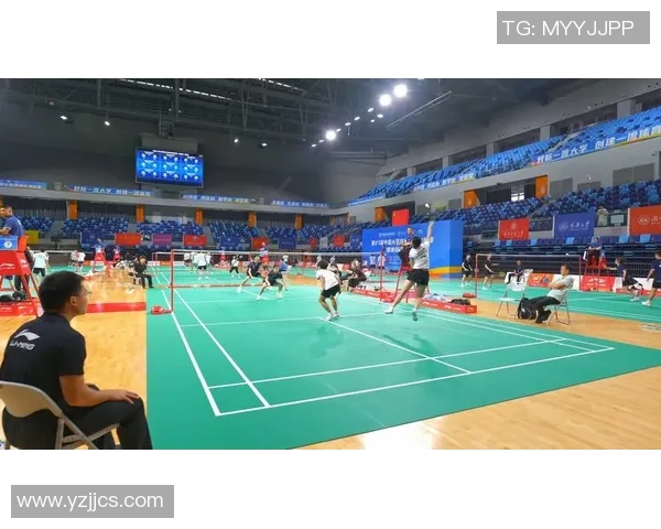 南京羽毛球队在杯赛中的实力展现与未来发展潜力分析