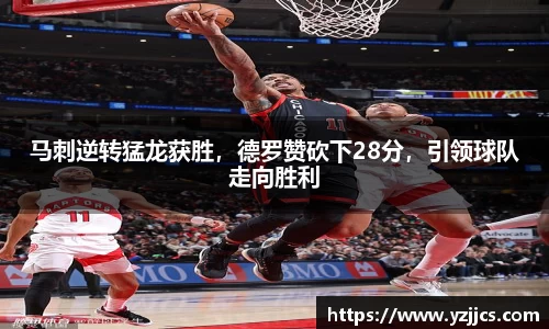 leyu·乐鱼